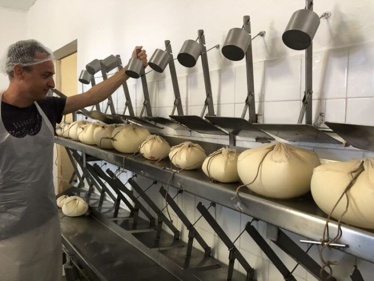 menorca-cheesemaking-and-farm-fresh-product-tasting