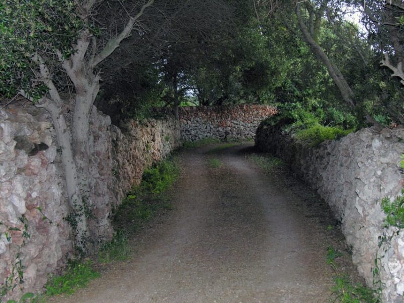 Menorca: E-Bike Tour From Punta Prima to Binibeca - The Route and What to Expect on the Day