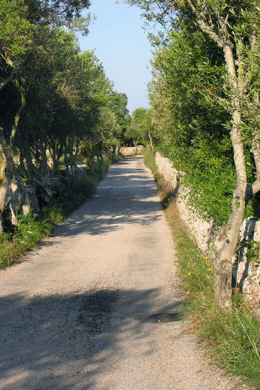 Menorca: E-Bike Tour From Punta Prima to Es Castell - An In-Depth Look at the E-Bike Experience