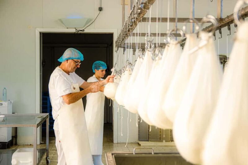 Menorca: Guided visit to the Subaida cheese factory, - Practical Details and Logistics