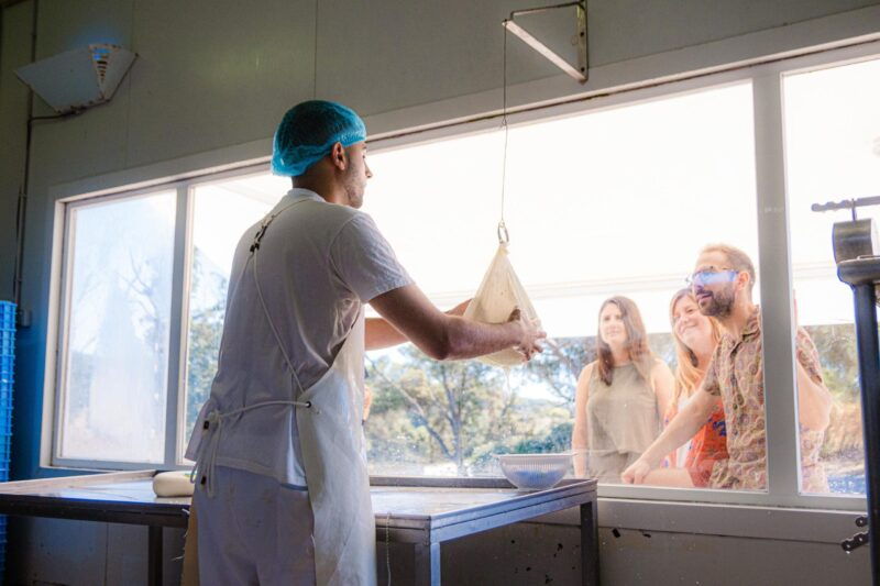 menorca-guided-visit-to-the-subaida-cheese-factory