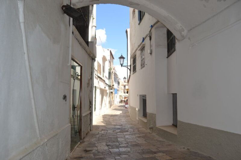 menorca-mahon-guided-tour-with-cruise-and-binibeca-visit