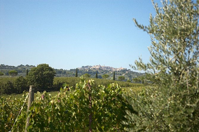 menu-with-a-view-in-the-enchantment-of-the-tuscan-hills-2