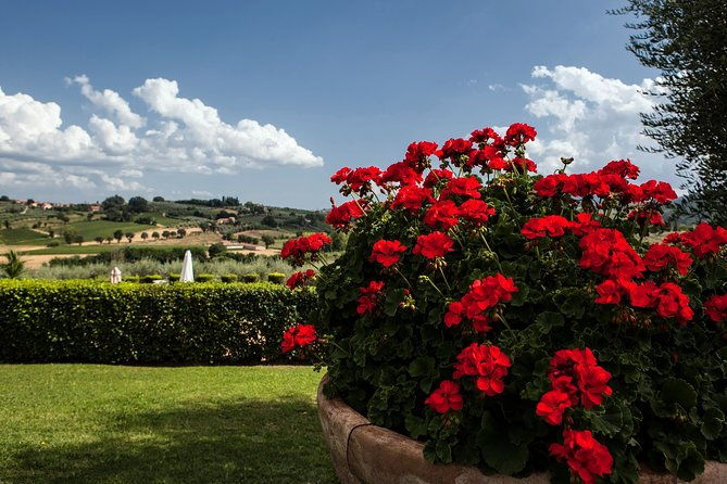 menu-with-a-view-in-the-enchantment-of-the-tuscan-hills-2