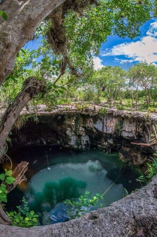 Merida: 4 Cenotes Adventure and Mexican Meal included - Key Points