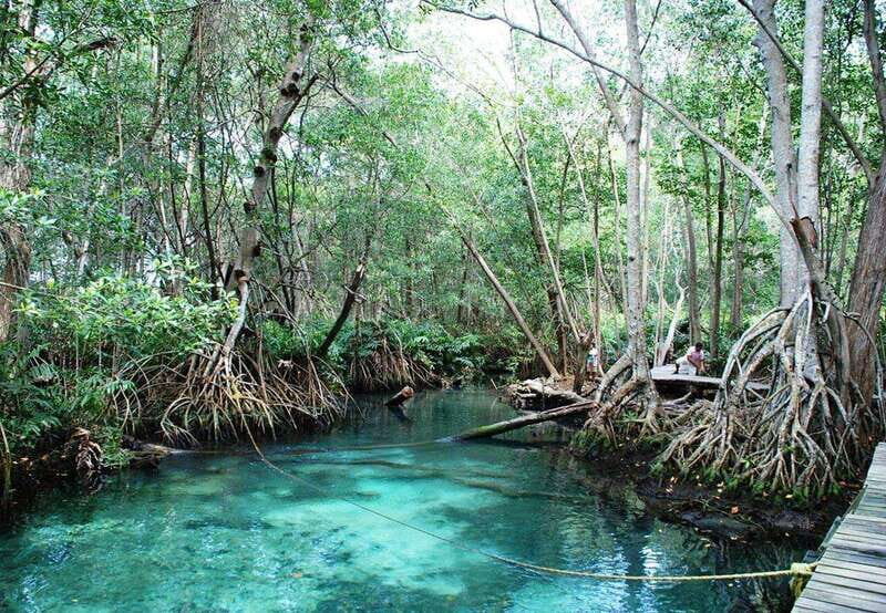 Merida: Celestun Beach and Mangrove Boat Ride Day Trip - Key Points