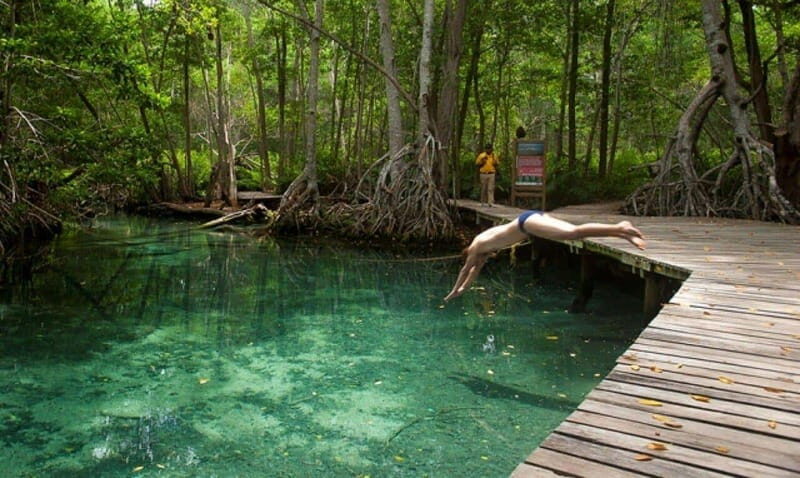 Merida: Celestun Beach and Mangrove Boat Ride Day Trip - Who Will Love This Tour?