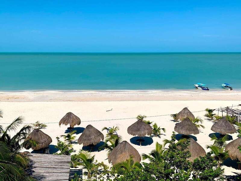 Merida: Celestun Beach and Mangrove Boat Ride Day Trip - Final Thoughts