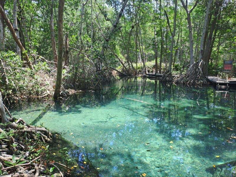 Merida: Celestun Biosphere Reserve Private Tour - Key Points