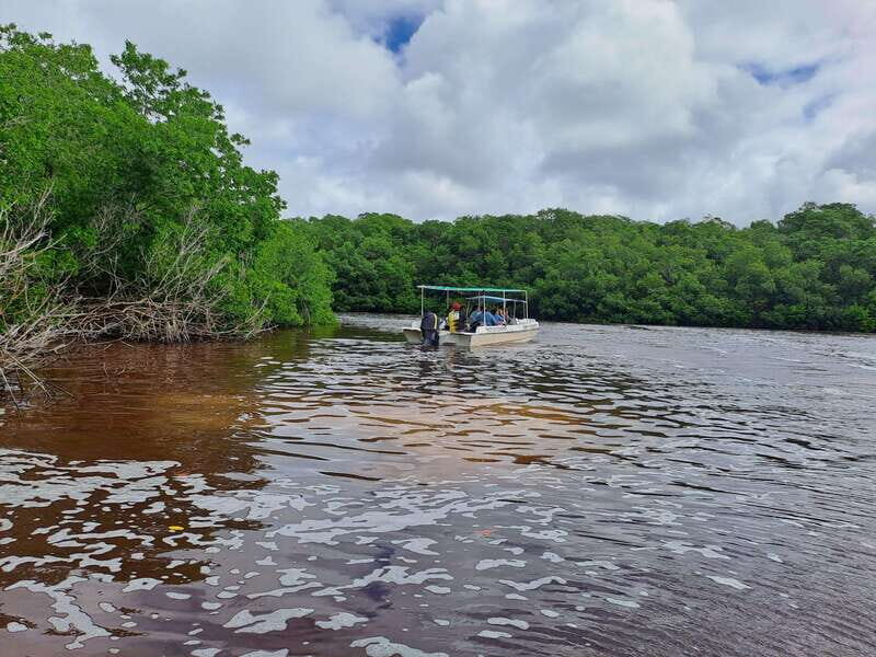 Merida: Celestun Biosphere Reserve Private Tour - What to Expect from the Tour
