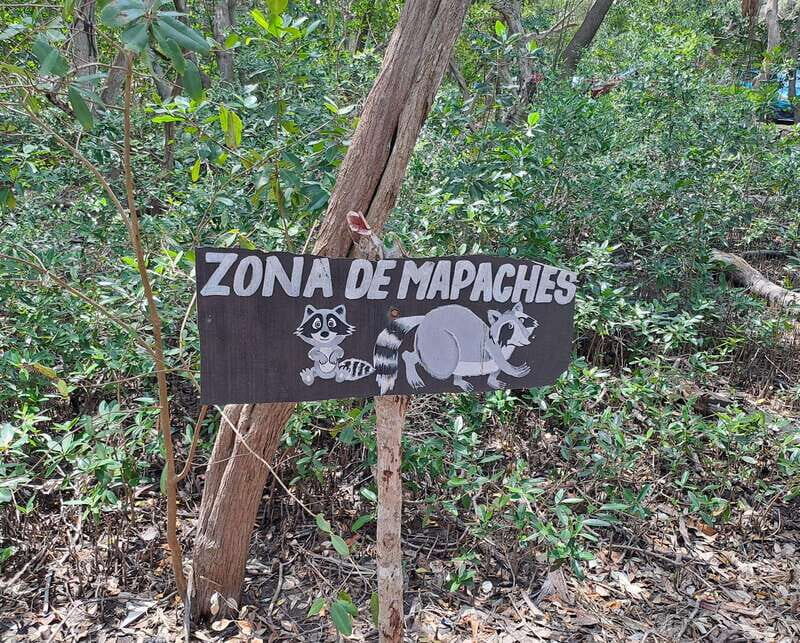 Merida: Celestun Biosphere Reserve Private Tour - Activities and Optional Add-Ons