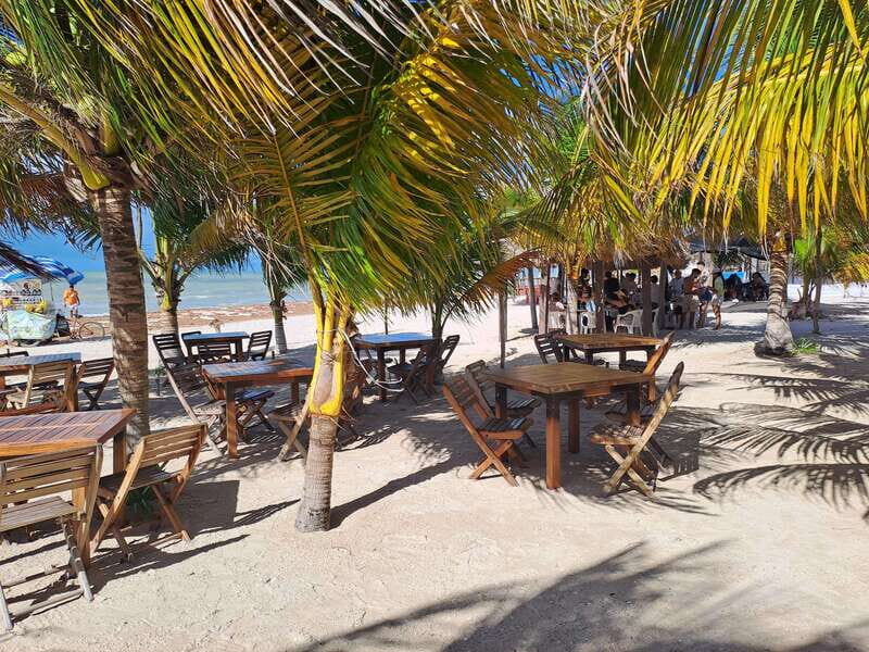 Merida: Celestun Biosphere Reserve Private Tour - Pricing and Value