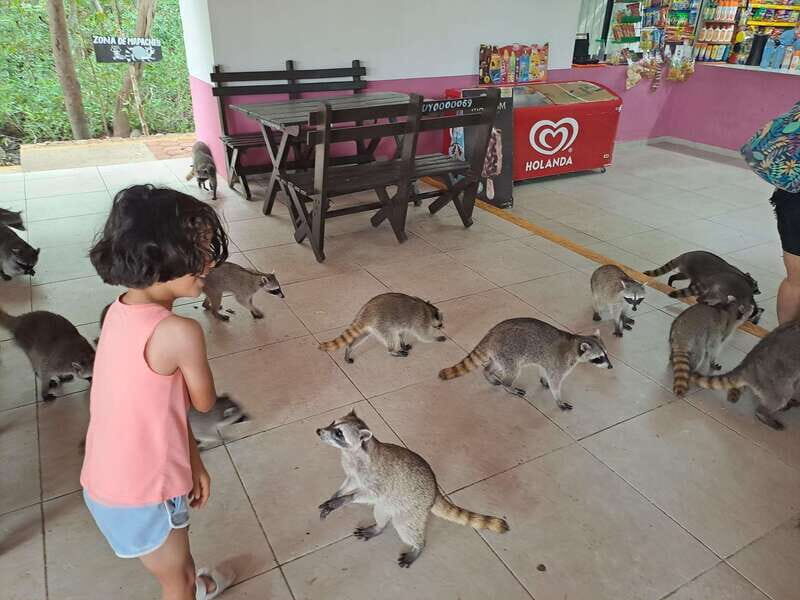 Merida: Celestun Biosphere Reserve Private Tour - FAQs