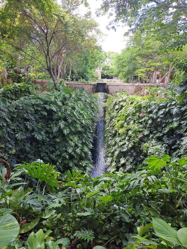 Merida: Cenotes Hacienda Mucuyché And Uxmal - The Value of This Tour