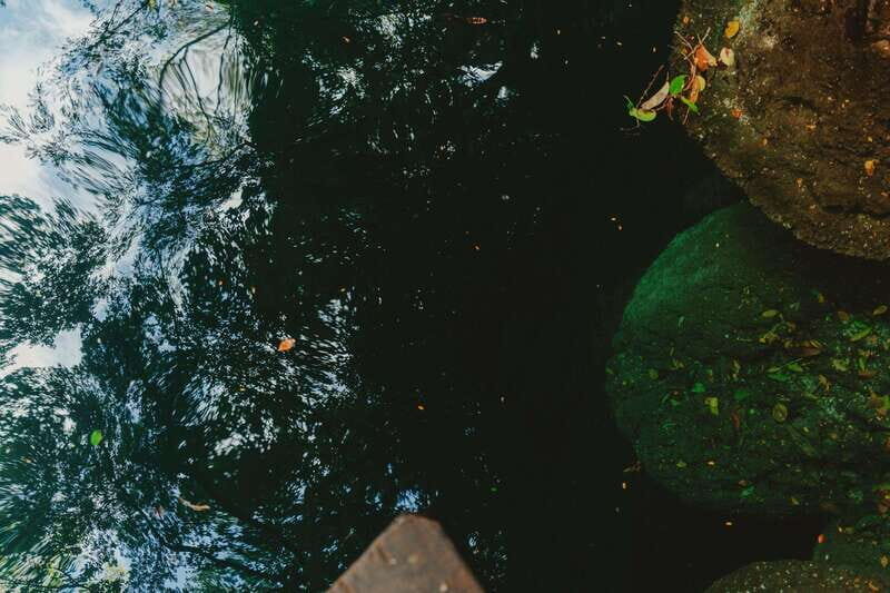 Merida: Explore With The One You Love, Day trip to Cenotes. - Practical Details & Tips