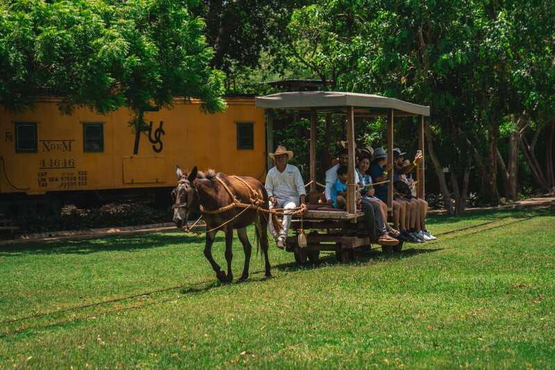 merida-hacienda-sotuta-de-peon-w-cenote-henequen-tour