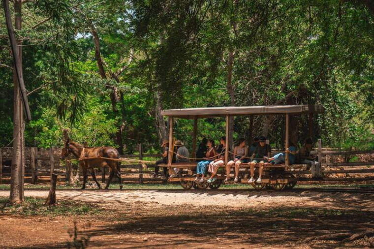 merida-hacienda-sotuta-de-peon-w-cenote-henequen-tour