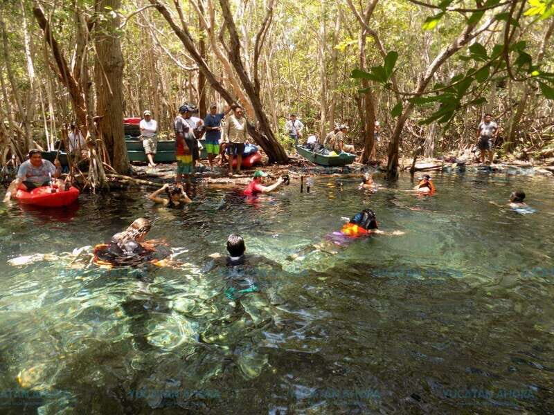 Merida: Kayaking and Bird Sanctuary in Sisal - Practical Tips for a Smooth Experience