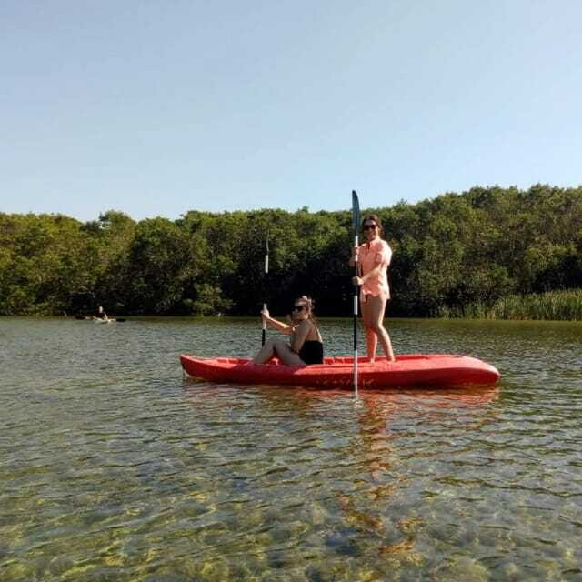 Merida: Kayaking and Bird Sanctuary in Sisal - Frequently Asked Questions
