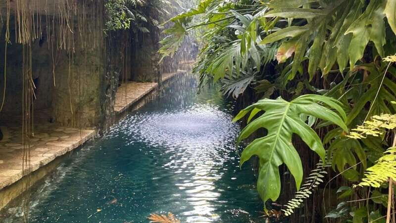Merida: Mucuyche Hacienda and Cenote Tour - What Makes This Tour Stand Out
