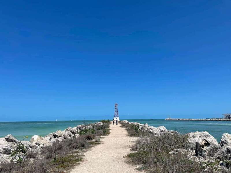 Merida: Pig Beach, Corchito, Progreso and Isla Columpio - Key Points