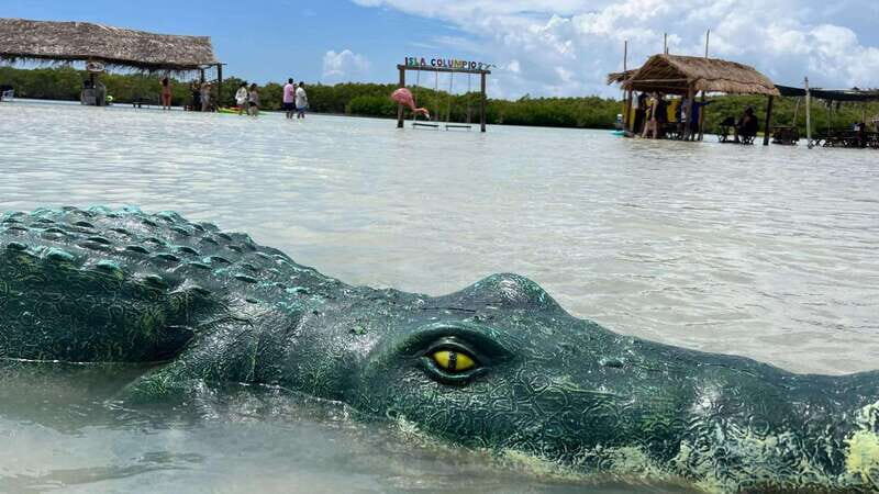 Merida: Swing Island Beach Tour with Kayaking - FAQ