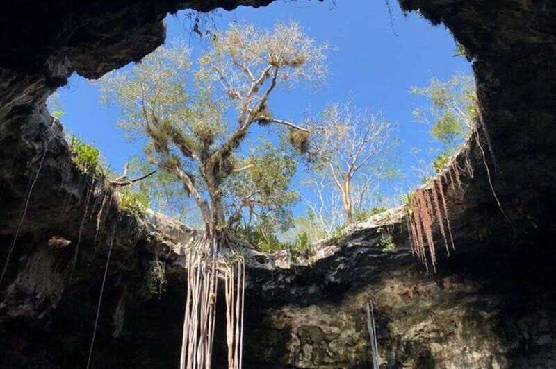 Merida: Tour Cenotes Santa Bárbara - Key Points