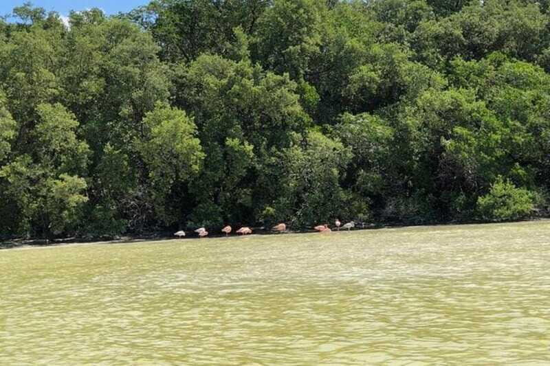 Merida: Tour to Celestún - FAQs