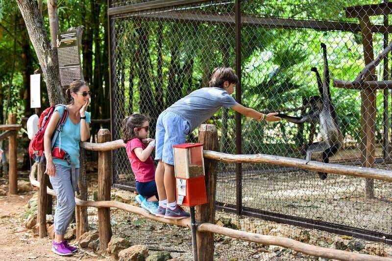 merida-uxmal-and-chocolate-museum-choco-story