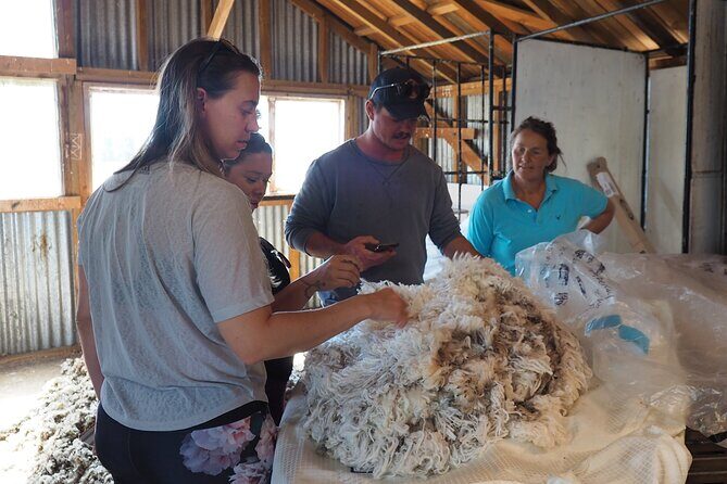 Merino Farm Experience - FAQ