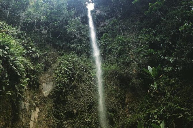 Meru waterfalls, forest walking & canoeing at lake duluti - Discovering the Scenic Journey: What to Expect