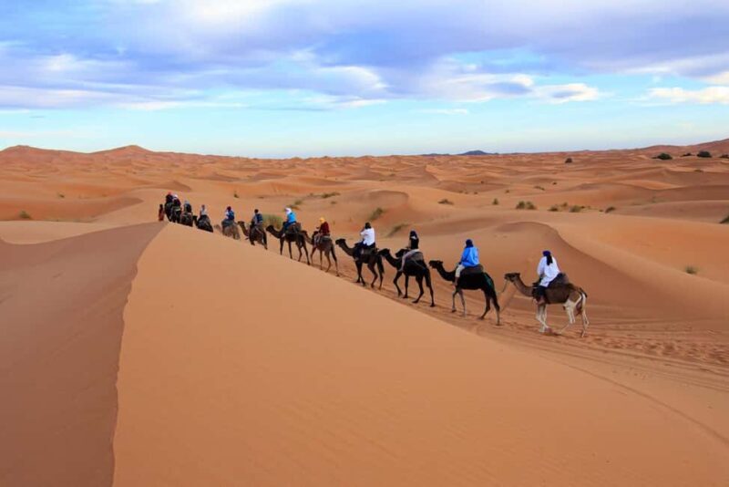 Merzouga: 1-Night in Desert Camp With Dinner & camel ride - Key Points