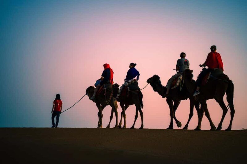 Merzouga: 1-Night Luxury Camp with Camel Ride & Meal - Key Points