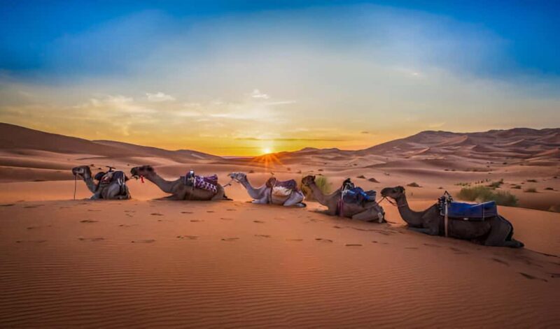 Merzouga: 2-Nights Camel Trek in Erg Chebbi Desert - Key Points