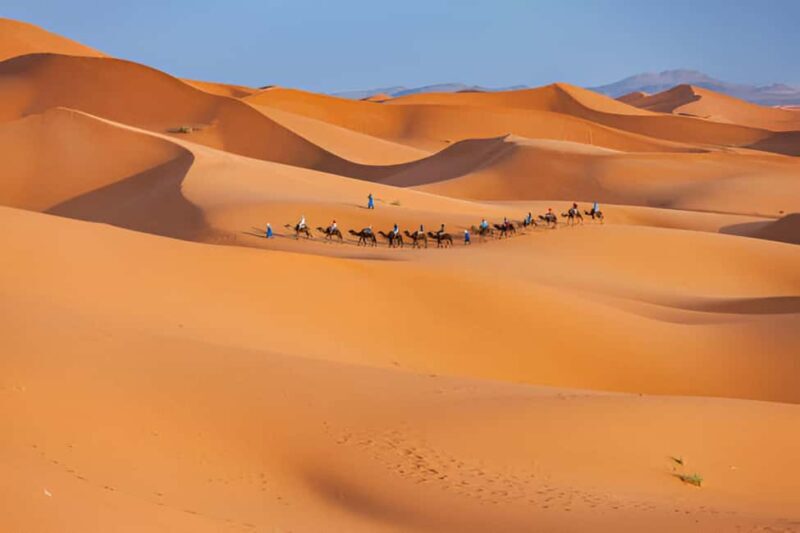 Merzouga: 2-Nights Camel Trek in Erg Chebbi Desert - Logistics and Practicalities