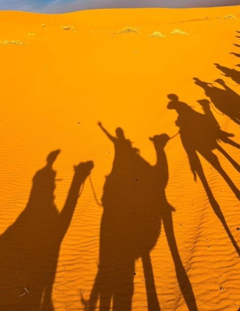 Merzouga : 3 days desert tour with camp stay, camel & food - The Sum Up