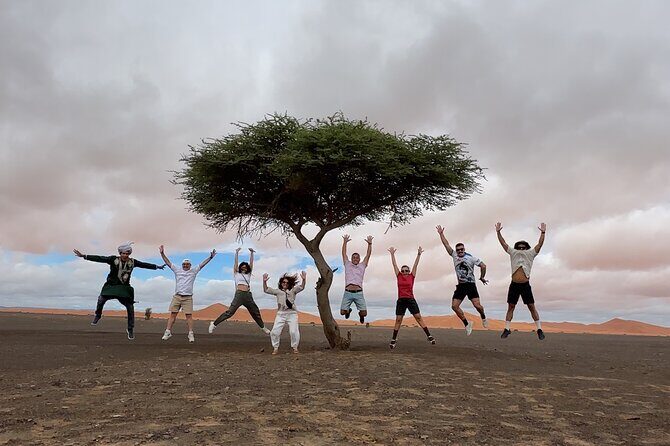Merzouga 4X4 -Day Trip With Private Local Guide - Key Points