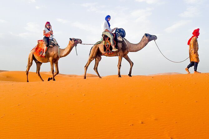 Merzouga Camel Ride & Overnight Desert Camps - Frequently Asked Questions