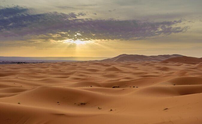Merzouga Camel ride & Quad Bike - Key Points