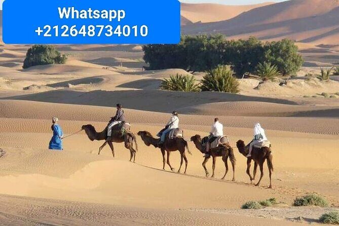 Merzouga Camel Trekking 1 Night Experience - Key Points