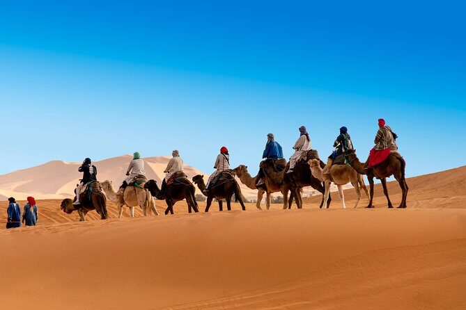 Merzouga Camel Trekking 1 Night Experience - A Closer Look at the Merzouga Camel Trekking Experience