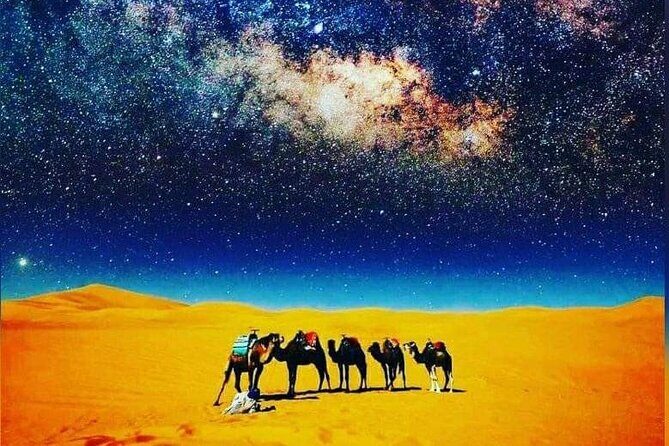 Merzouga Camel Trekking 1 Night Experience - Who Should Consider This Tour?