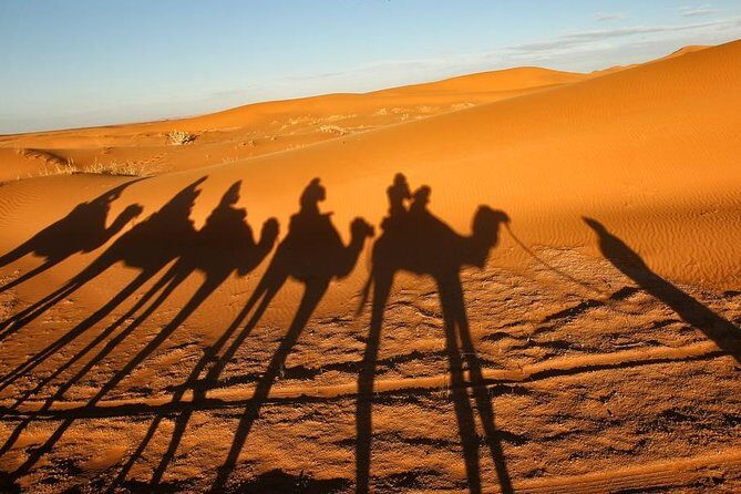 Merzouga Camel Trekking & Overnight Desert Camp - Is This Tour for You?