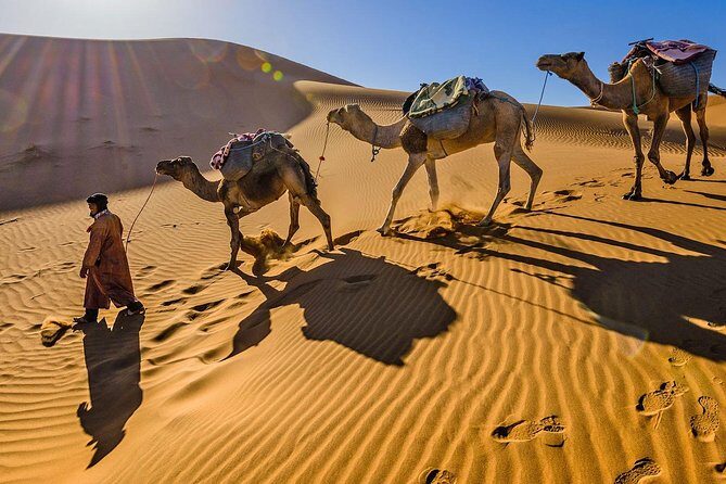 Merzouga desert 2 night 3 Days charred tours - Day 1: From Marrakech to Ouarzazate and Dades Gorges