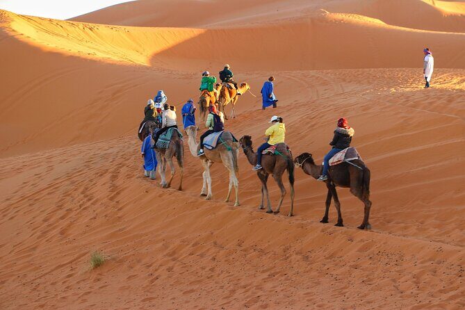 Merzouga Desert Campsite &Camel Excursions - The Experience in Detail
