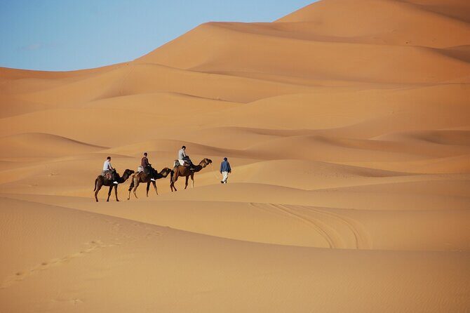 Merzouga Desert Campsite &Camel Excursions - FAQ