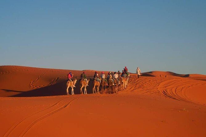 Merzouga Desert Private Tour From Marrakech 3 days and 2 Nights - Wrapping Up
