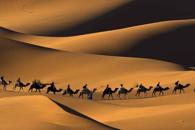 Merzouga desert tour from Marrakech & camel ride - What You’ll Love About the Tour
