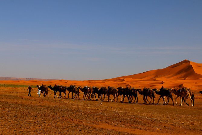 Merzouga Dunes and Berber Culture Private Day Trip with Lunch - Who Will Love This Tour?  