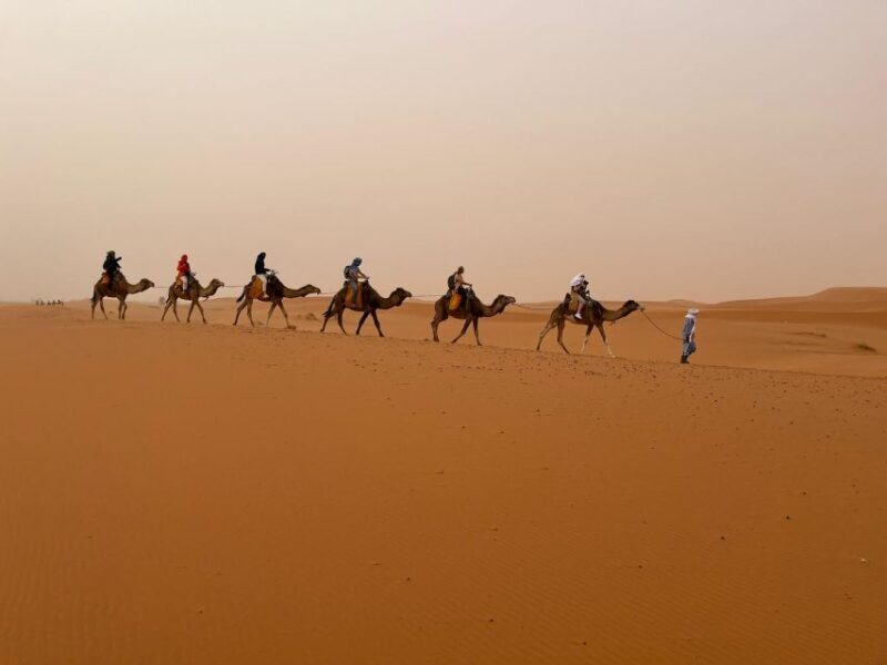 Merzouga: Overnight Camel Trek with Sandboarding - Final Thoughts